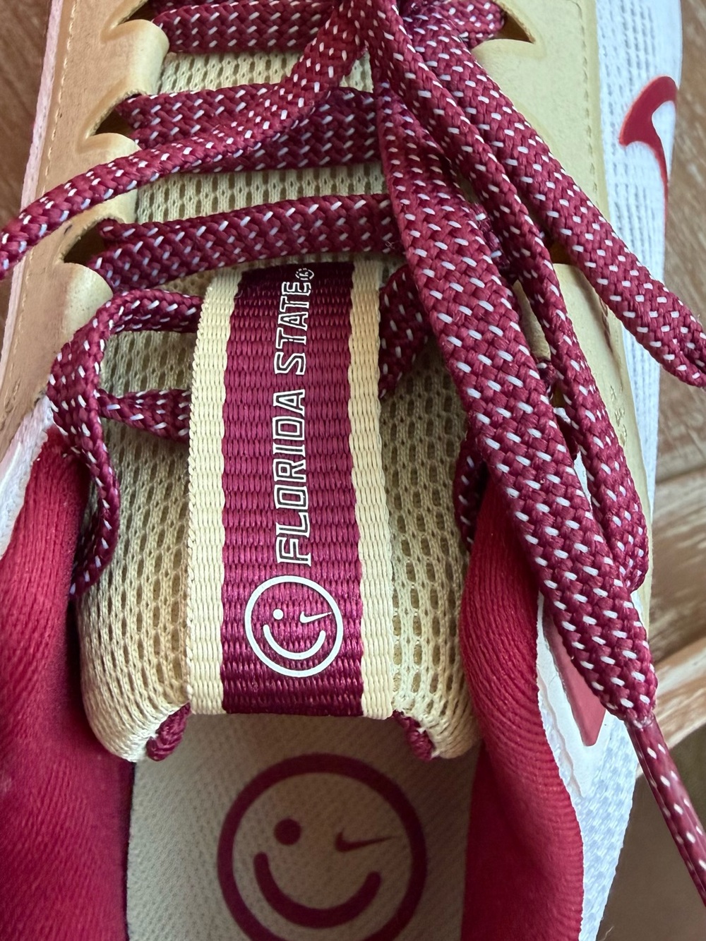 Florida State Men’s Nike Pegasus Running Shoe | Size 10 - Picture 8 of 12